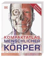 Meditrade® Nierenschalen, Pappe grau 25,5 x 4,8 cm – Bild 3